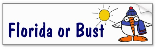 Nonresident Tax Return: You May be Taxed by the IRS as a Non-Citizen Residing in the United States Nonresident Tax Return: You May be Taxed by the IRS as a Non-Citizen Residing in the United States